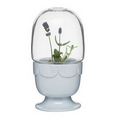 Planter on Stand w/ Glass Dome, Lavender Blue
